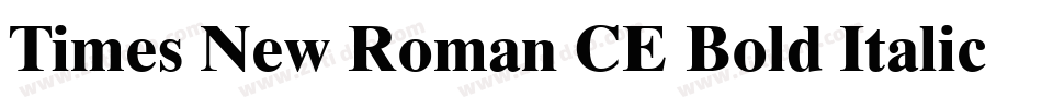 Times New Roman CE Bold Italic字体转换